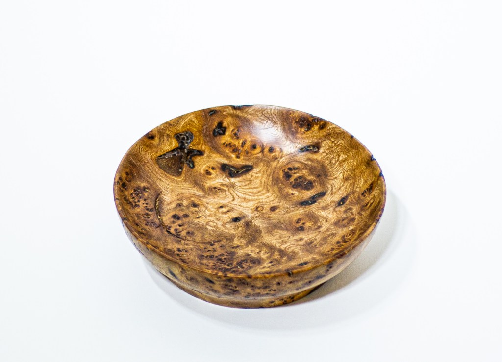 Burr Oak 15cm (£60)