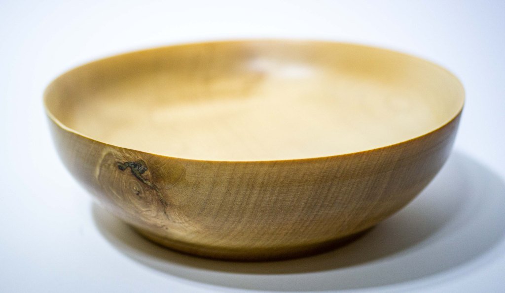 Sycamore, 25cm (£65)